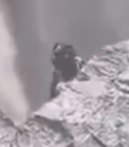 Iceland accidentally filmed a transforming alien watching people 8