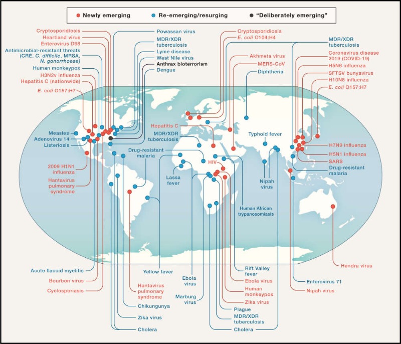 With the second wave of COVID-19, more than one may come - there will be a bunch of diseases 2