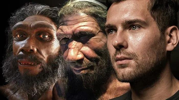 Traces of an unknown ancestor found in the human genome 10