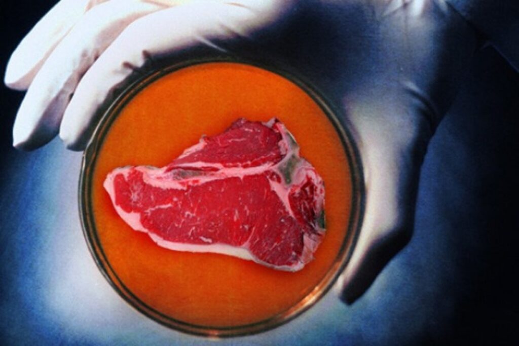 The production of artificial meat is reaching an industrial level 8