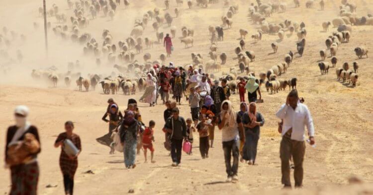 Climate change kicked off a new Great Migration 20