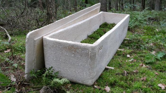 In the Netherlands, people began to be buried in mushroom coffins 1