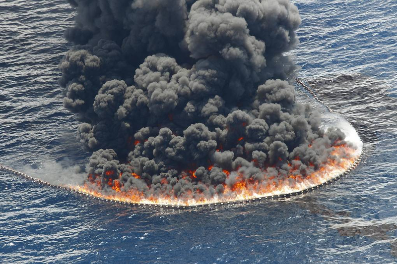 The world's oceans are under attack from man-made disasters 4