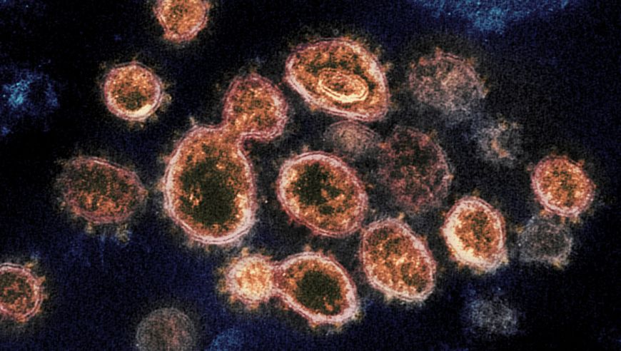 Suspicious hidden gene found in coronavirus genome 8