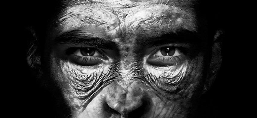 Why are Spanish scientists working to create a chimera of man and ape in China? 29