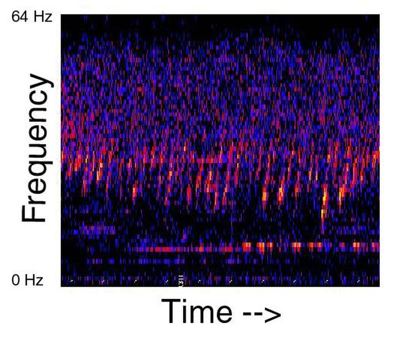 Takeoff spectrogram / © NOAA