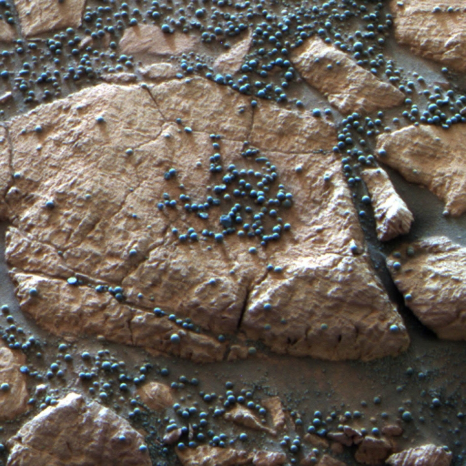 These loose, BB-sized, hematite-rich spherules are embedded in this Martian rock like blueberries in a muffin and released over time by erosion.