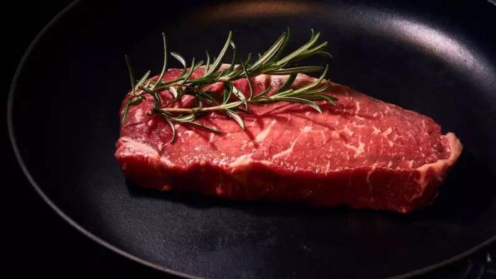 Wissenschaftler stellen Fleisch aus menschlichen Zellen her. Sein Name ist „Ouroboros“ 1 Wissenschaftler stellen Fleisch aus menschlichen Zellen her. Sein Name ist „Ouroboros“ 1