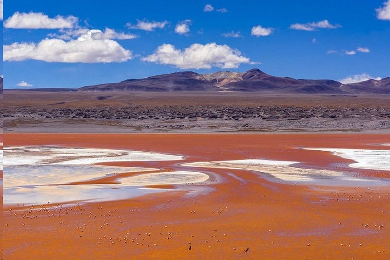 Aliens among us: could Mars be the cradle of life on earth? 4