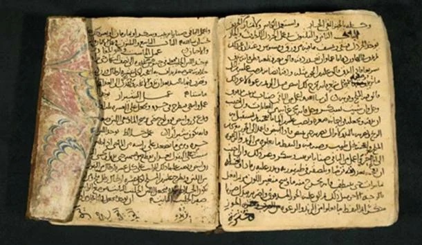 Ancient recipe books are like a panacea for modern diseases! 1