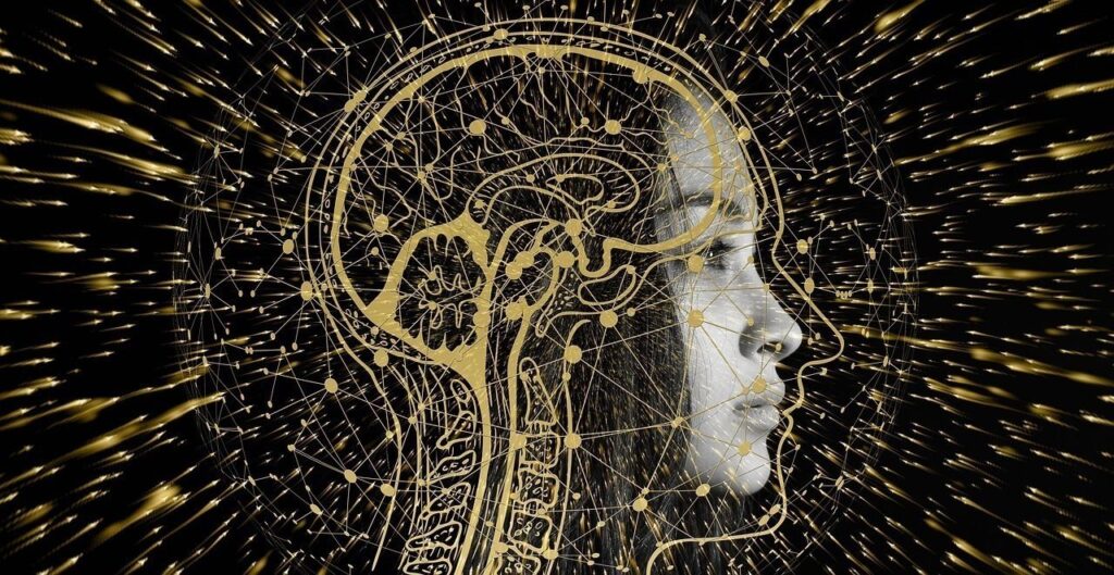 A part of a person's essence accompanies him throughout his life: this is confirmed by a brain scan 11