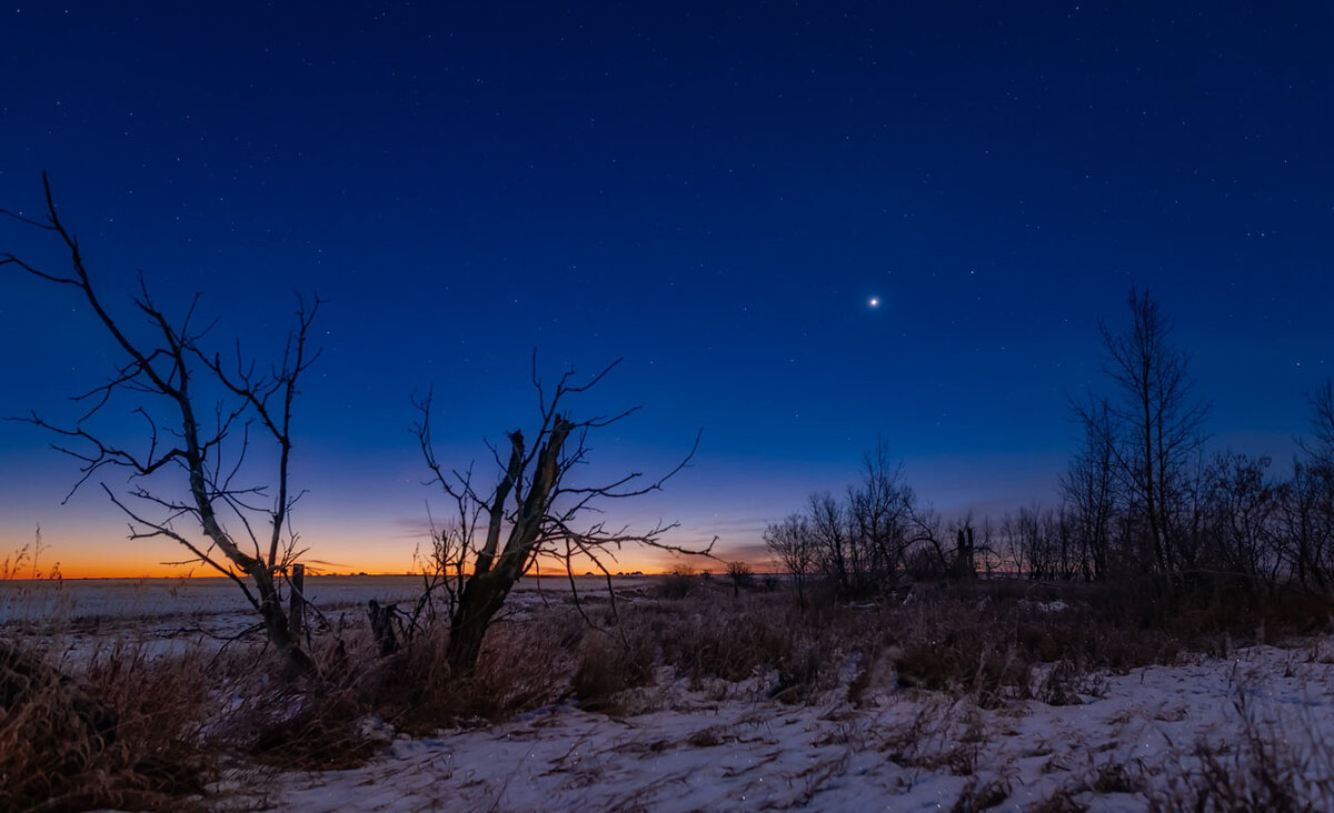 Venus in the morning sky in January