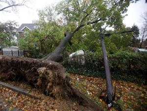 “Perfect Frankenstorm” 98