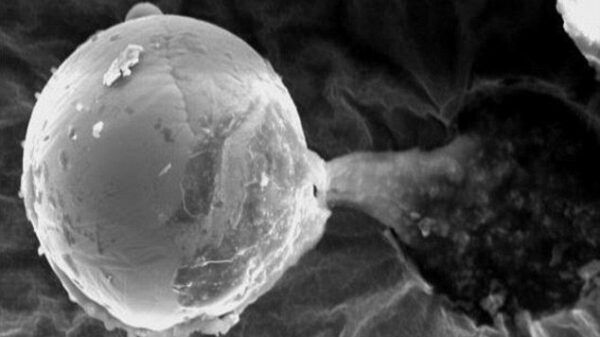 Who sent titanium spheres with a mysterious black liquid to Earth from Space? 11