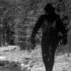 A woman met a seven foot Bigfoot in an English park. This encounter influenced her entire future life 30