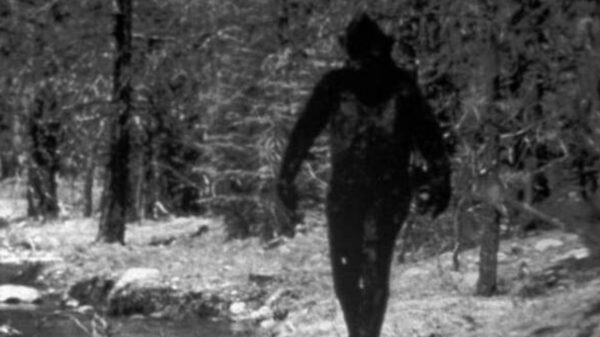 A woman met a seven foot Bigfoot in an English park. This encounter influenced her entire future life 13