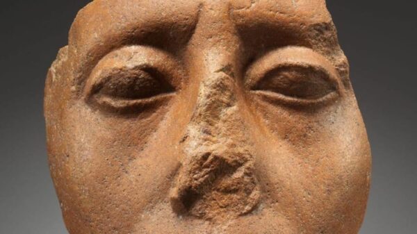 Scientists have found out the true origin of the Pharaohs. Egyptian authorities do not agree to rewriting history 33