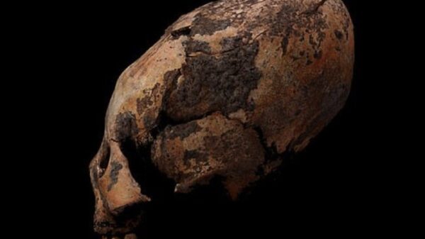 12 thousand years ago, China was inhabited by egg-headed people 36