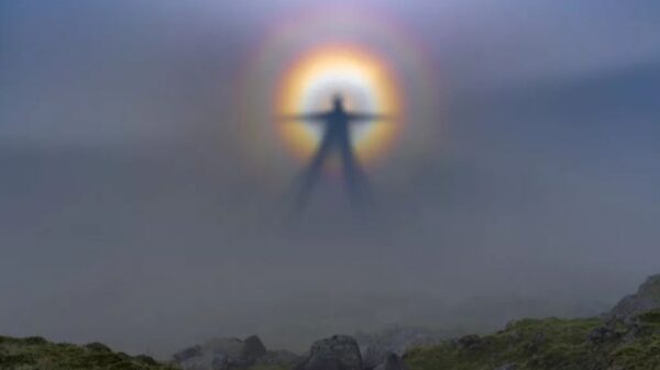 Who are the 'Dark watchers' who have terrified Americans for centuries? 1