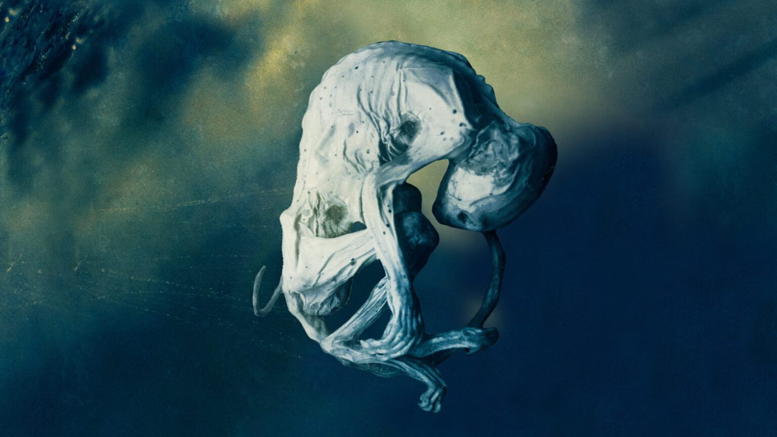 Einstein's student claimed that the United States has not only UFO