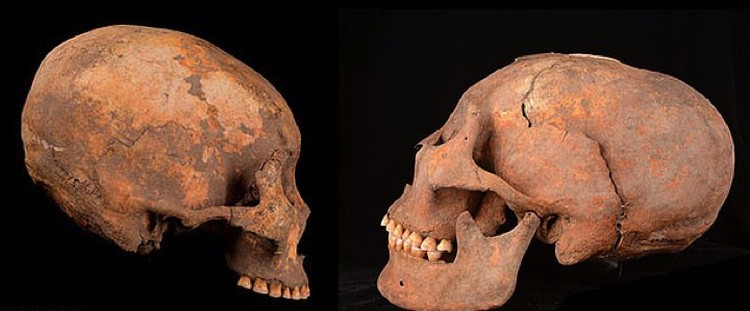 In ancient Chinese graves, every second skull is egg-headed.