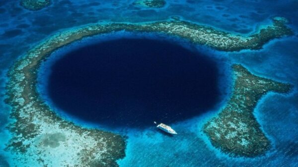 "I was at the bottom of the earth." What a scientist saw at the deepest point of the planet 3