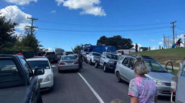 A pole shift is coming: Abnormal seismic activity at a fault near New Zealand. Earthquake 8.2 off the Kermadec Islands 19