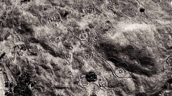 Anunnaki metropolis more than 200 thousand years old was discovered in Africa and rewrites History 11