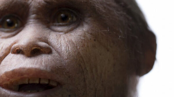 Hobbits were real: Scientists believe that "goblins" are relatives of modern humans 10