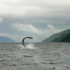 Loch Ness monster reappears? 3 people saw a huge black shadow moving slowly 10