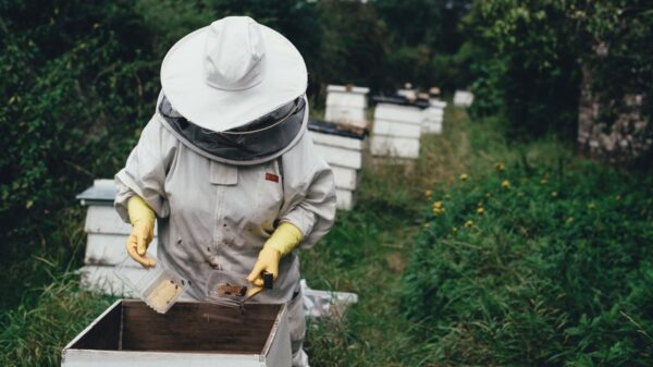 Cold War Legacy: A radioactive isotope has been found in American honey 11