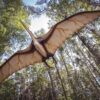 Is UK a stopover for migratory pterodactyls? 18