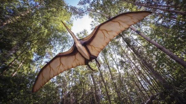 Is UK a stopover for migratory pterodactyls? 13