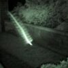 "Skyfish": Spies, UFOs or ancient insects? 11