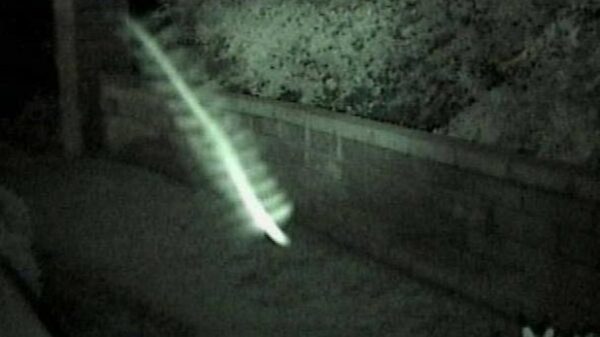 "Skyfish": Spies, UFOs or ancient insects? 10