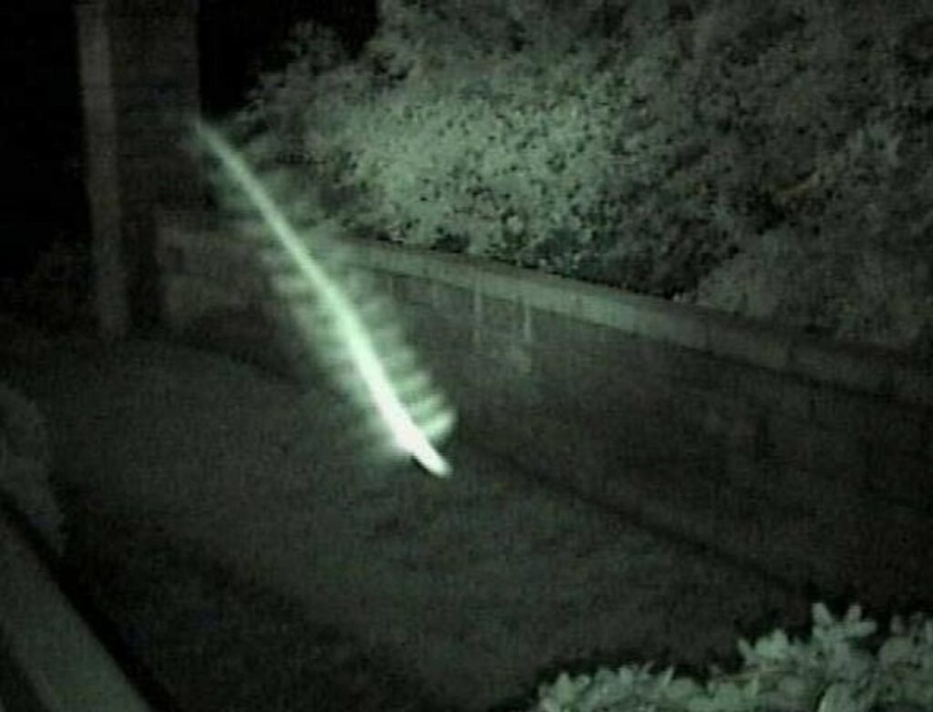 "Skyfish": Spies, UFOs or ancient insects? 1