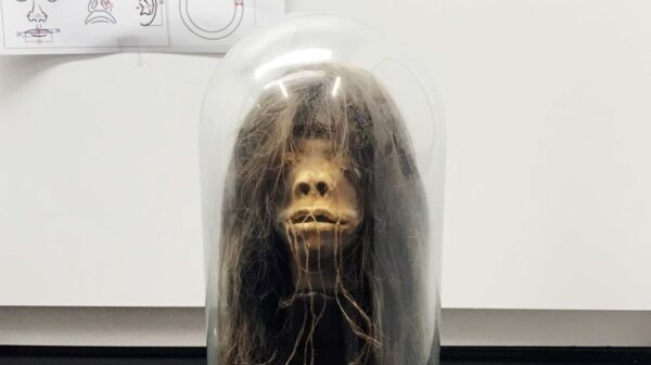 The fake dried head from the "Wise Blood" horror movie turned out to be a real shriveled head 15
