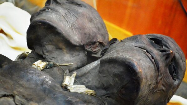 Mysterious 3.5 meter two-headed giant from Patagonia puzzles anthropologists 26