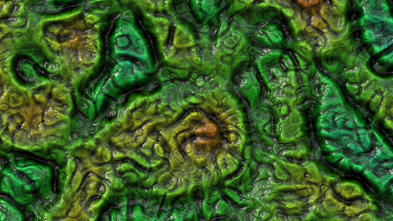 Coronavirus survivor diagnosed with green mold in India