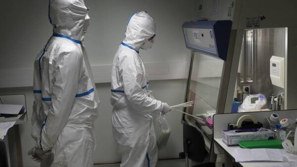 "They were removed on purpose": scientists recovered data on the SARS-CoV-2 genome 7