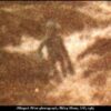 British police officer took the most reliable picture of an alien creature and saw a UFO in 1987 19