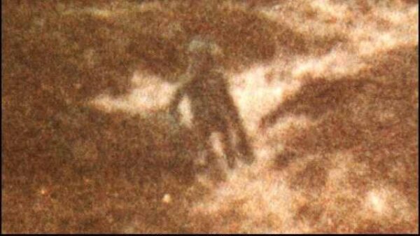 British police officer took the most reliable picture of an alien creature and saw a UFO in 1987 1