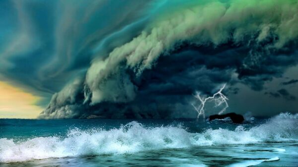 New disease Apocalyptic warning: The pandemic will have a second wave that will wash away everyone 21