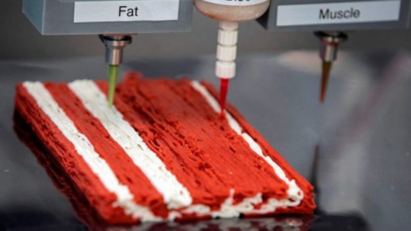 Mealworms, insect flour and test tube milk and meat: new generation food will appear on a mass scale in just two years 1