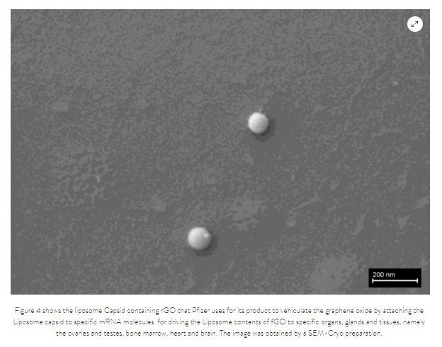 Scientists have found graphene, metal, and even a colony of parasites in vaccines 1