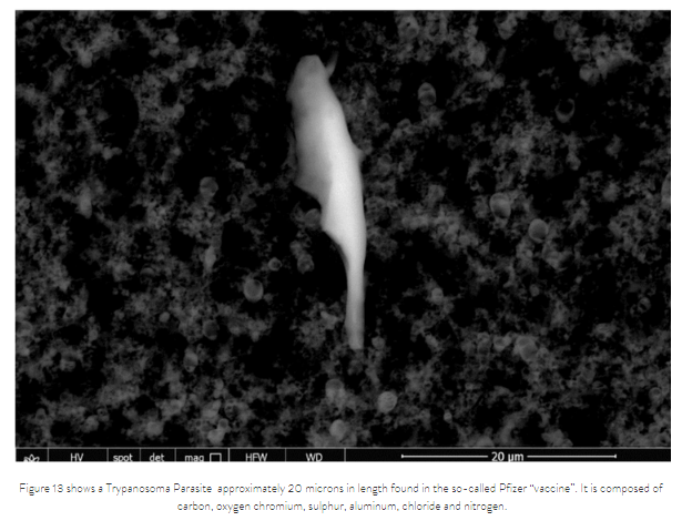 Scientists have found graphene, metal, and even a colony of parasites in vaccines 3