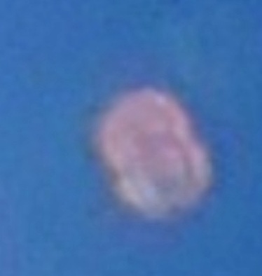 Solar Cycle 25 springs to life: Sunspot AR2866 is growing rapidly and this is a little scary for astronomers 6