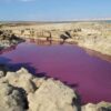 Lake water “Mysteriously” turned red near the Dead Sea in Jordan 26