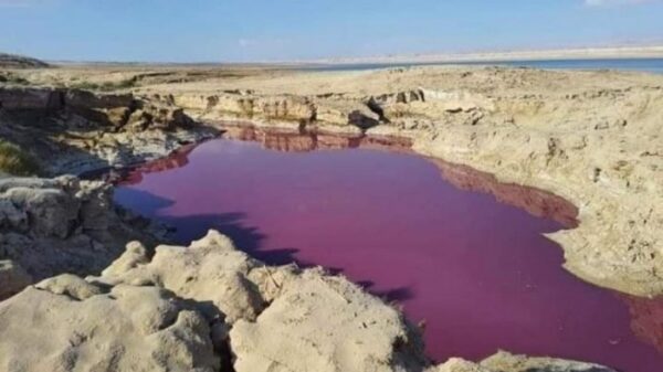 Lake water “Mysteriously” turned red near the Dead Sea in Jordan 20