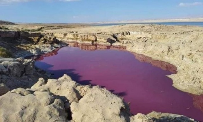 A água do lago "misteriosamente" ficou vermelha perto do Mar Morto, na Jordânia